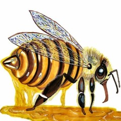 Honey [prod. corblanco]