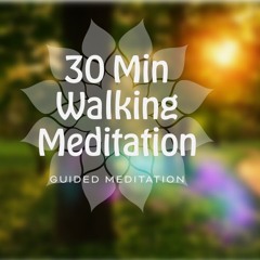 30 Min Walking Meditation - Reflect & Connect in Nature