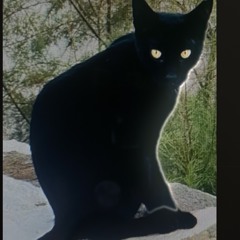 Have You Seen Louise?