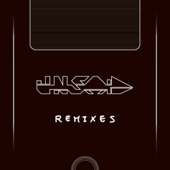 Un:said Remixes