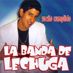 la banda de lechuga - cariño ++
