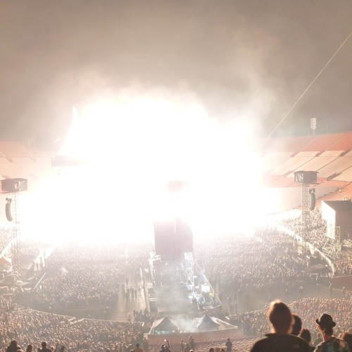 The Tale of the Shield Maiden