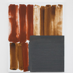 Springvossen 576 Robbin Heyker