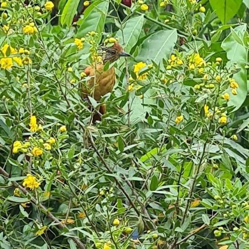 23.02.2022 - Cap. X - Bem Aventurados os Misericordiosos - Reconciliar-se com os Adversários (2)