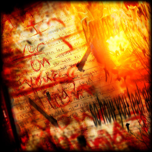 Shxrda - lavender (WCS FLIP)