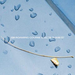 Roaming Course Nr. 51 (24/08/30)