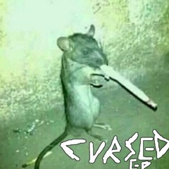 185