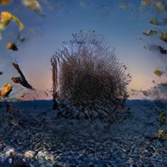 Slidin ft. Beetopher