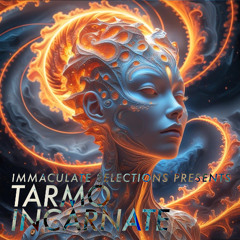 Immaculate Selections Presents - INCARNATE - TARMO - Disc 2
