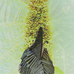 dharma