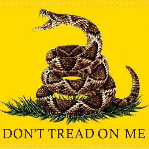 DONT TREAD ON ME (instrumentaL)