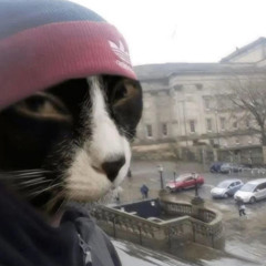 solitude velocity (the part that should be a song) [slowed]