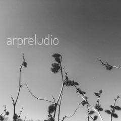 Arpreludio