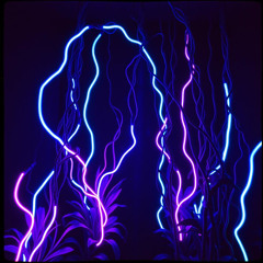 Circuit Lullaby