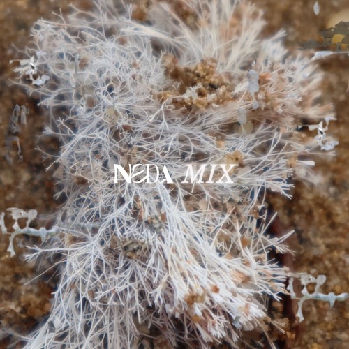 NSDA MIX003 - Answer Code Request