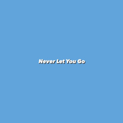 Never Let You GO［with TERY & Hanemii］
