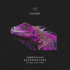 Leandro Da Silva - Supernature (Stefano Iezzi Remix) [OUT NOW]