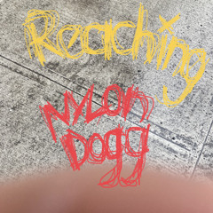 Reaching — 5.11.24 [NYLON DOGG]