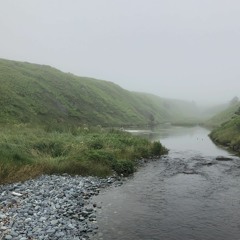 downstream