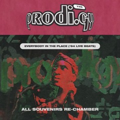 #SVNR: The Prodigy - Everybody In The Place ('94 Live Beats) // re-chamber
