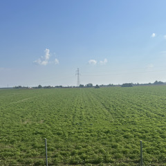 Topline 2 (Come Back Home).wav