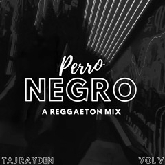 vol v. perro negro - a reggaeton mix by taj rayden