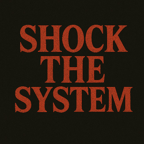 Shock The System