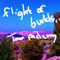 Flight Of Budds,,,