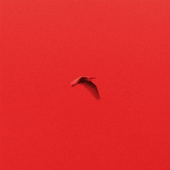 Rosso Polare — Lettere Animali (Klamm27 Preview)