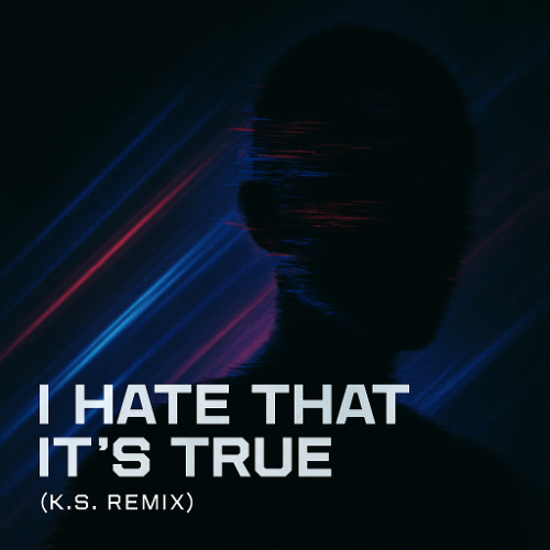 i hate that its true (Techno Remix)