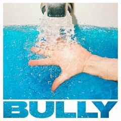 Bully - Where To Start