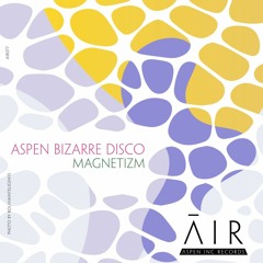 aspen bizarre disco - Magnetizm *Upcoming 14th July 2K23 excl. Traxsource*
