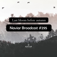 Naviar Broadcast #295 – Last bloom before autumn – Wednesday 29th November 2023