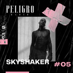 PELIGRO RADIO #05 | SKYSHAKER