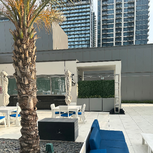 Cobra N Dover produced by condone & jetsonmade