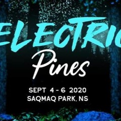 ELECTRIC PINES 2020 - Gentle Jane