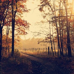 Bram Moolenaar - Recall Of The Anjunableat (Fall) (Trance Classics)