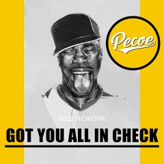 Pecoe - Got You All In Check (2022 Rework)