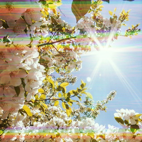 VISION89 | SPRING