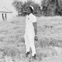 BRENDA'S VOLVO - BENNY