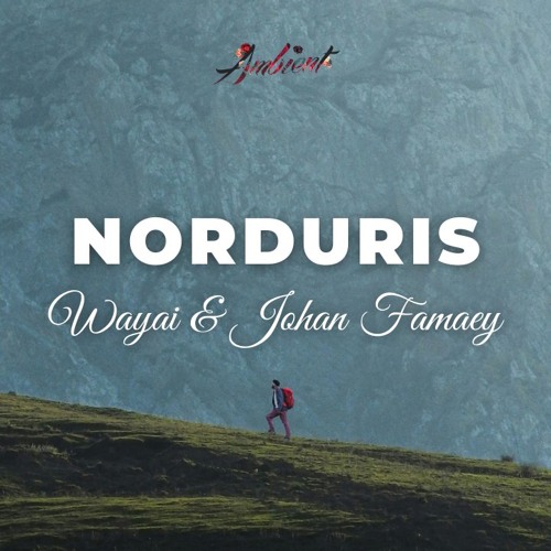 Wayai & Johan Famaey - Norduris