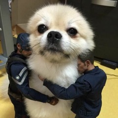 Andate a Dormir (Demo)