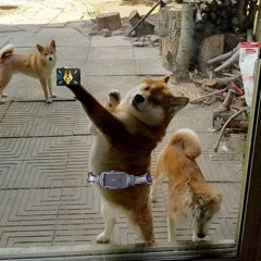 Dù ngày mai ra sao.mp3