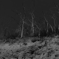 YARNcast 129 - Sanoe