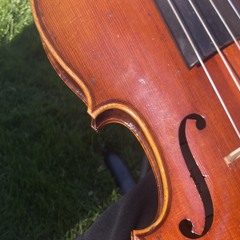 Can’t Help Falling in Love (Elvis Presley) - Sample