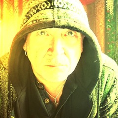 WE'RE GONNA MAKE IT ~ THE ARTFUL CODGER
