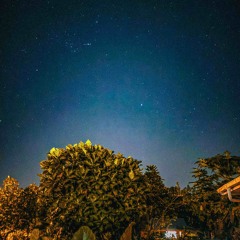 Afai Funa (4 Brothers Tama o le i’a COVER)