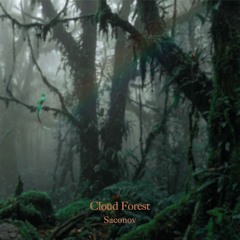 Cloud Forest – Soundtrack to “IYÖK AMI” (1999)