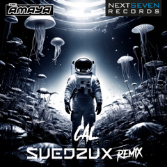 DJane AMAYA - CAL (SUEDZUX REMIX)