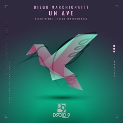 Diego Marchionatti - Un Ave (TEIAO Remix) [Droid9]